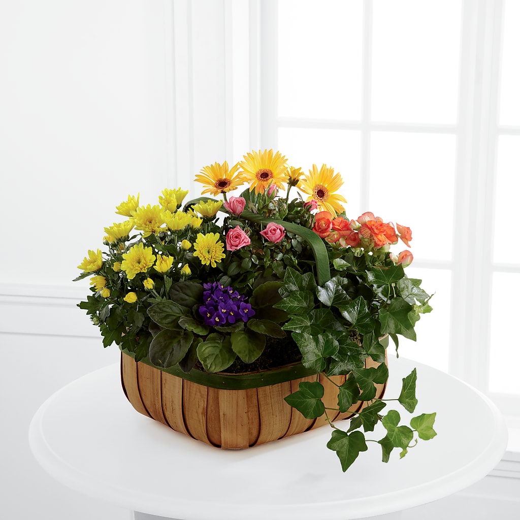 Gentle Blossoms Basket – Batavia Stage Coach Florist, Batavia NY
