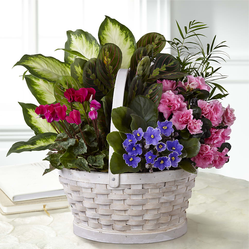 Peaceful Garden Planter – Batavia Stage Coach Florist, Batavia NY