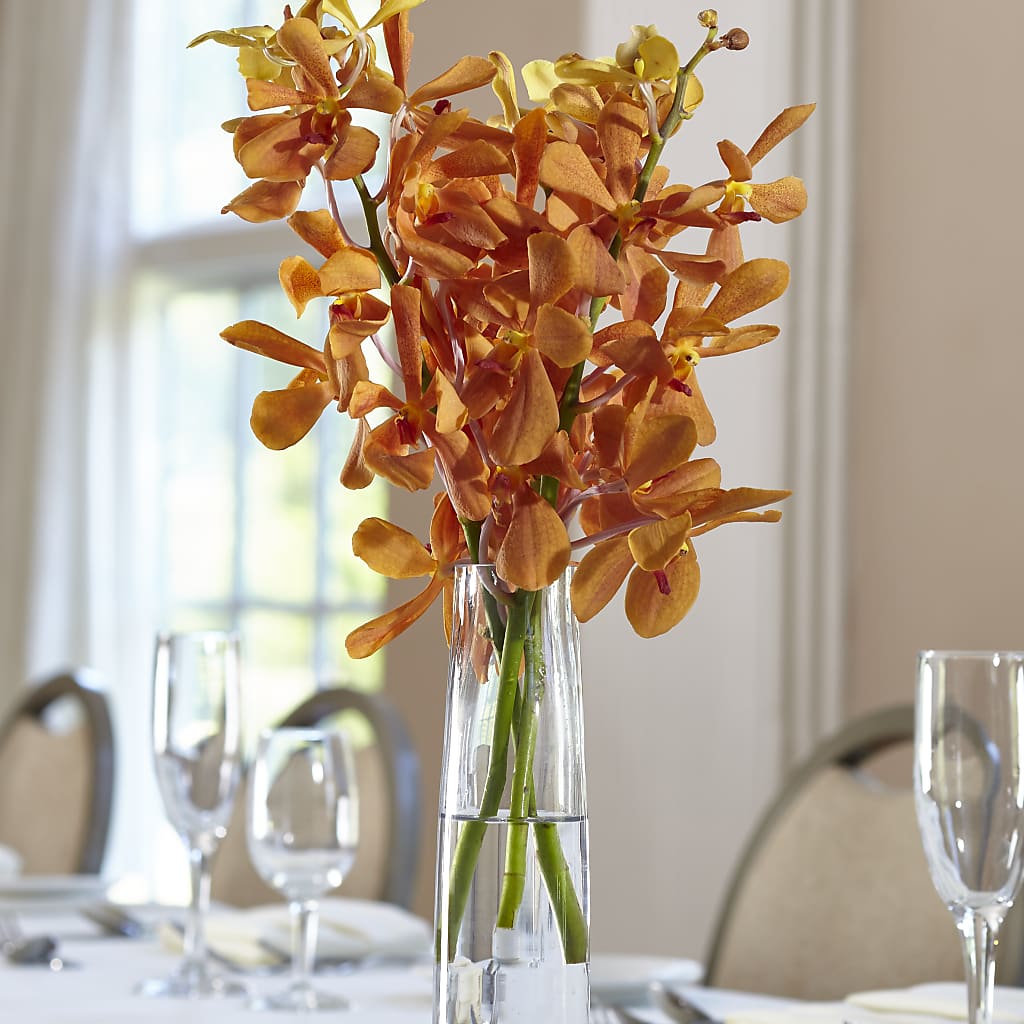 Orange Mokara Bud Vase – Batavia Stage Coach Florist, Batavia NY