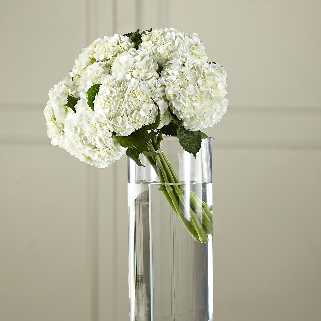 White Hydrangea Hand-Tied Bouquet – Batavia Stage Coach Florist, Batavia NY