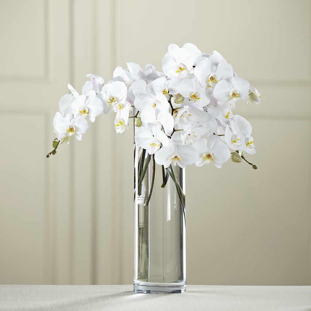 White Phalaenopsis Bouquet – Batavia Stage Coach Florist, Batavia NY