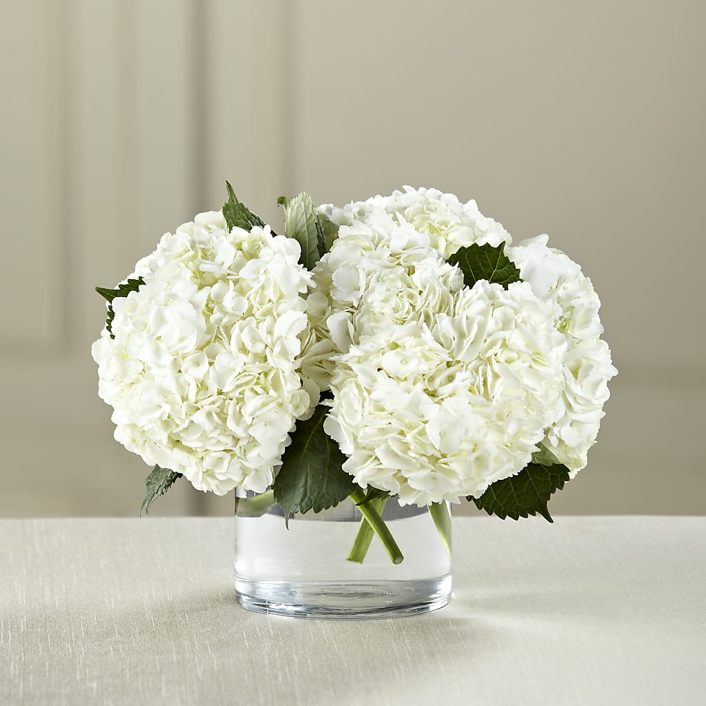 White Hydrangea Bouquet – Batavia Stage Coach Florist, Batavia NY