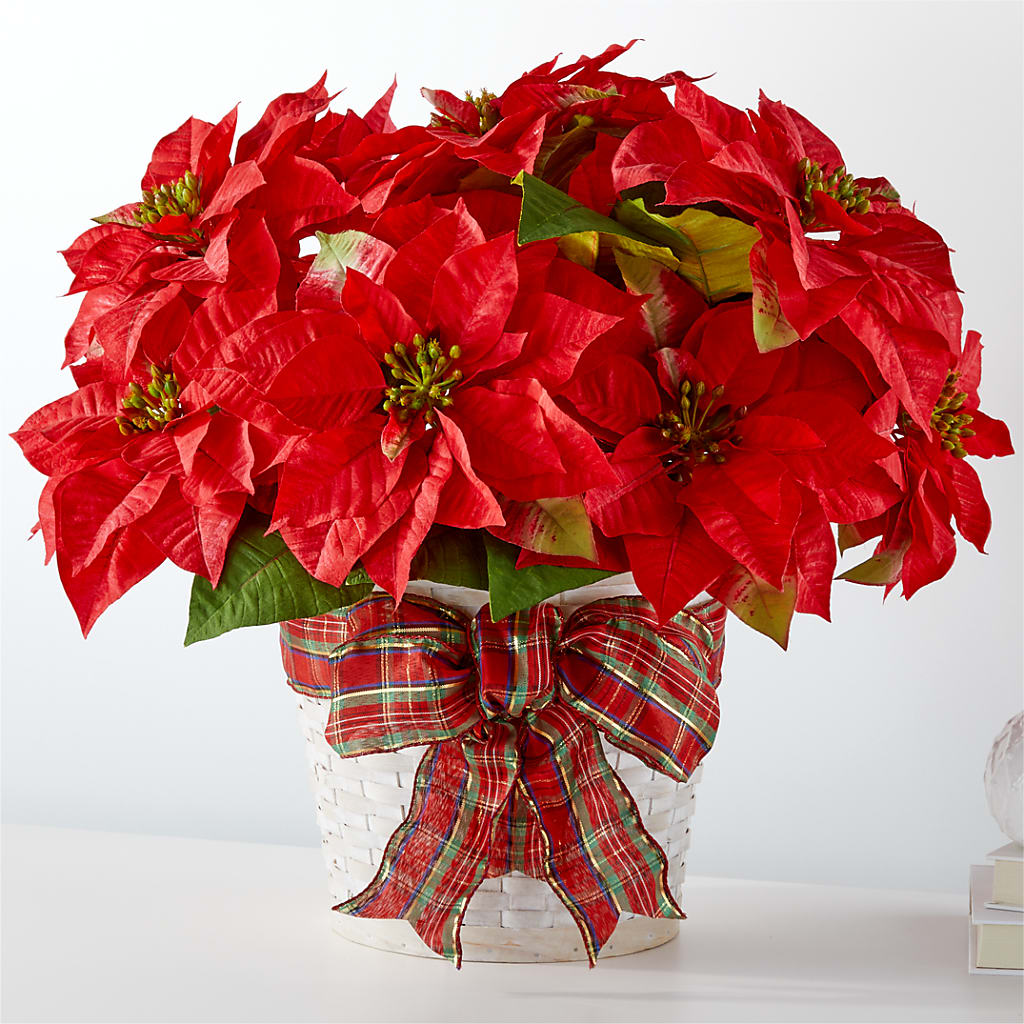 Happiest Holidays Poinsettia –  Batavia Stage Coach Florist, Batavia NY