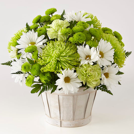 Lucky Charm Basket (Standard) –  Batavia Stage Coach Florist, Batavia NY