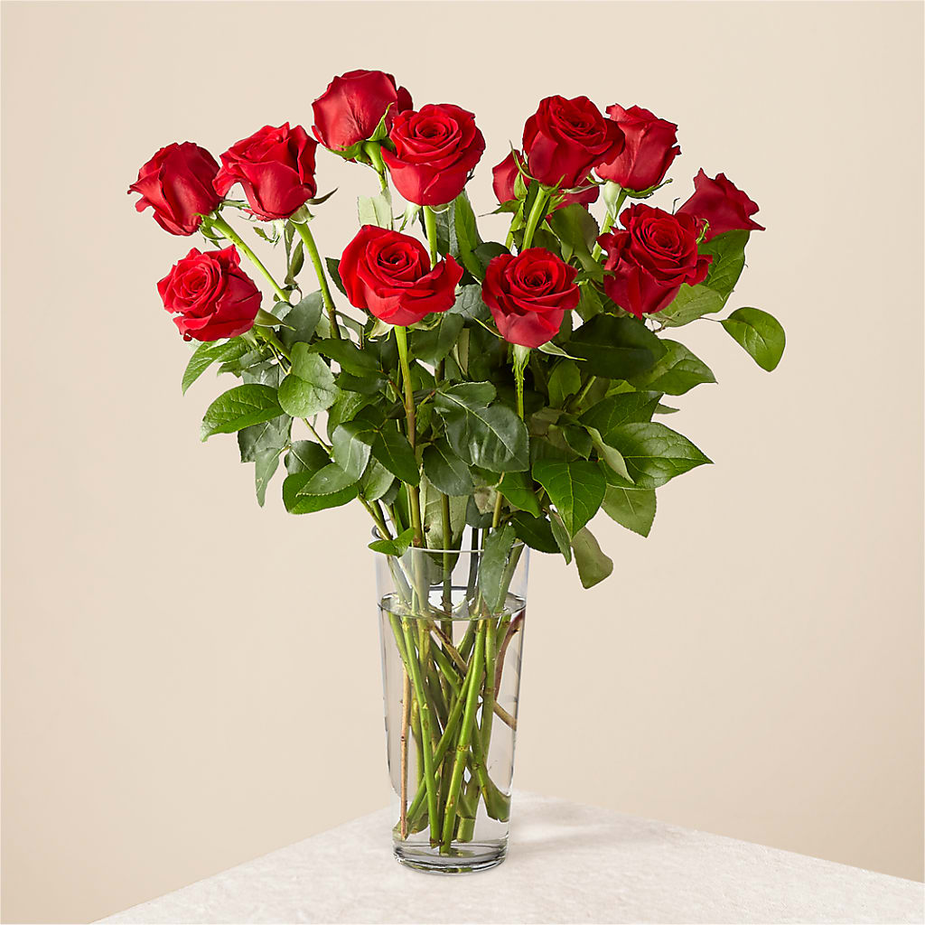 Long Stem Red Rose Bouquet –  Batavia Stage Coach Florist, Batavia NY