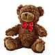 Adorable Plush Bear –  Batavia Stage Coach Florist, Batavia NY