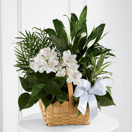 Peace & Serenity Dishgarden –  Batavia Stage Coach Florist, Batavia NY