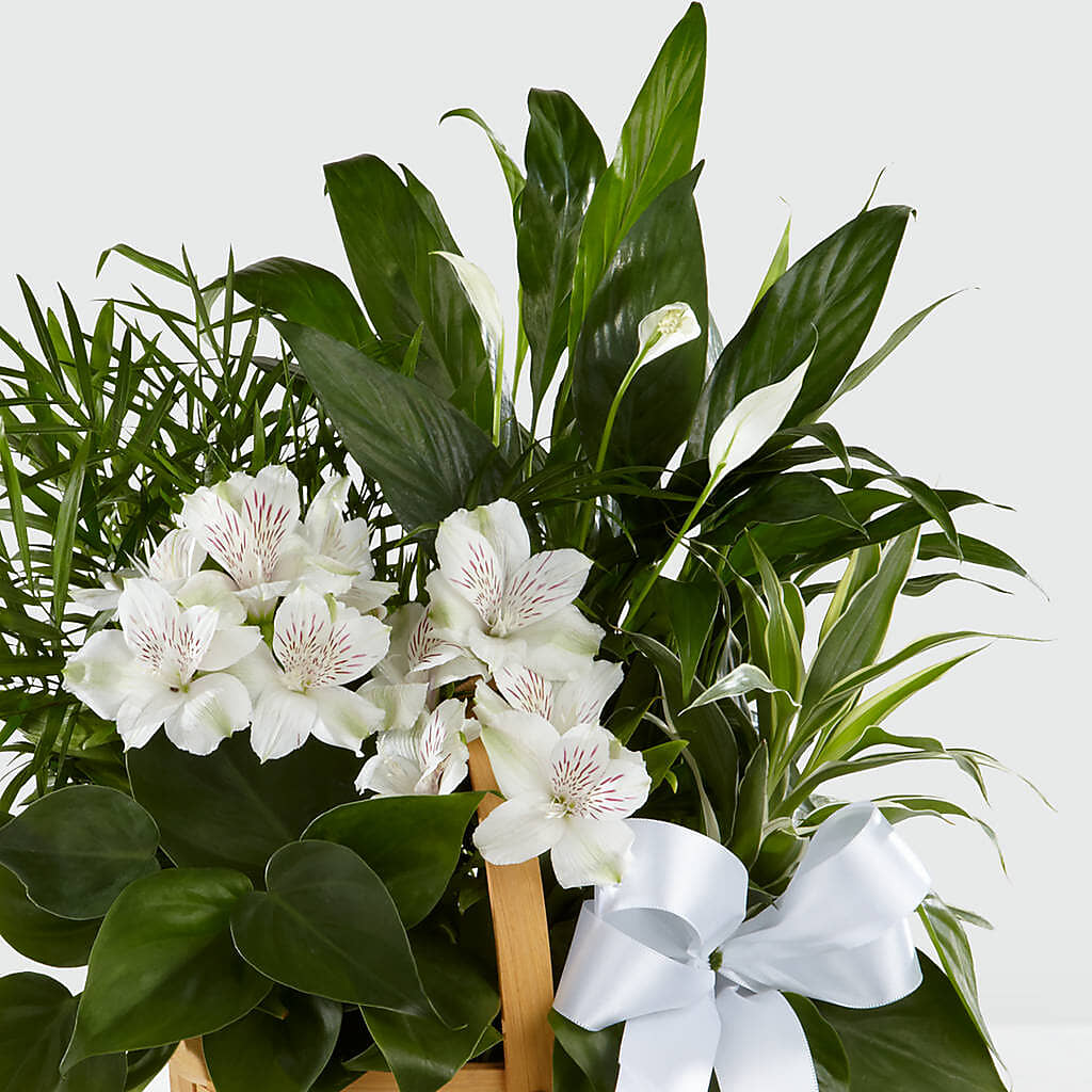 Peace & Serenity Dishgarden –  Batavia Stage Coach Florist, Batavia NY