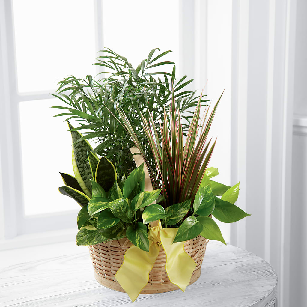 French Garden –  Batavia Stage Coach Florist, Batavia NY
