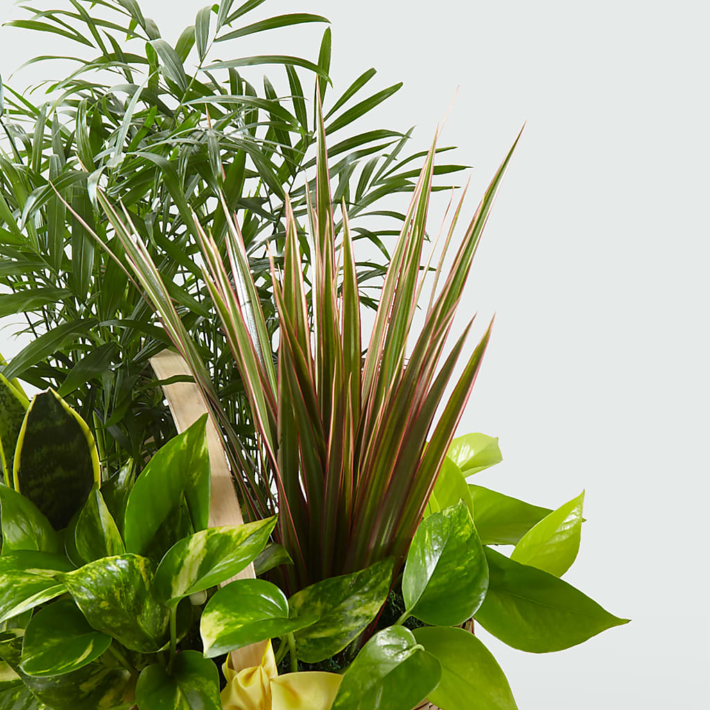 French Garden –  Batavia Stage Coach Florist, Batavia NY