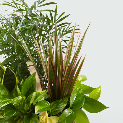 French Garden –  Batavia Stage Coach Florist, Batavia NY