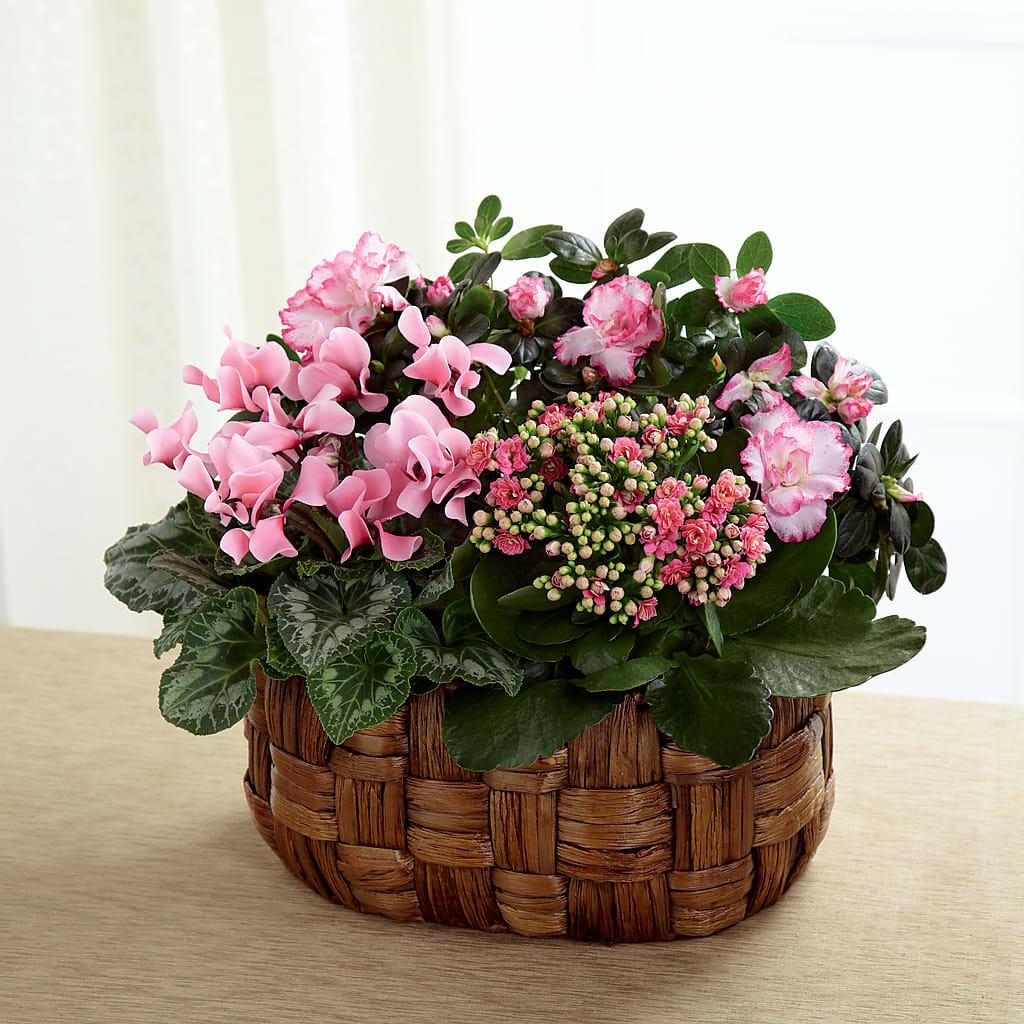 Pink Assortment –  Batavia Stage Coach Florist, Batavia NY