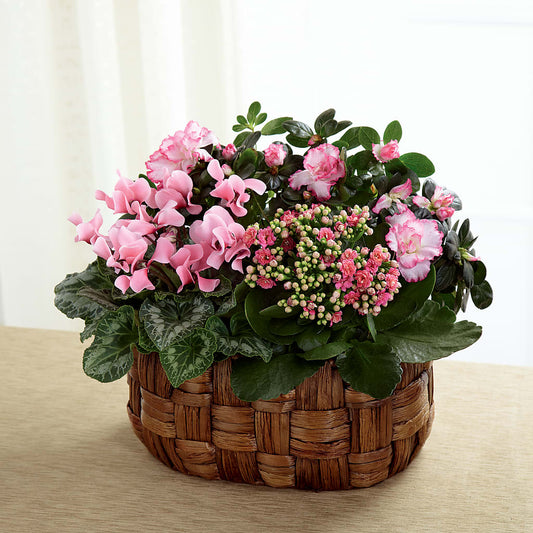 Pink Assortment –  Batavia Stage Coach Florist, Batavia NY