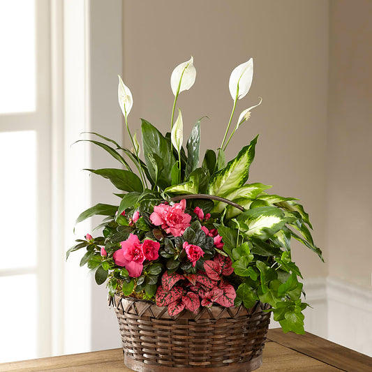 Dream in Pink Dishgarden –  Batavia Stage Coach Florist, Batavia NY