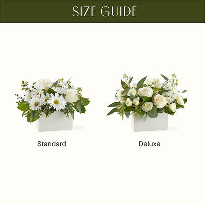 Fresh Linen Box Bouquet –  Batavia Stage Coach Florist, Batavia NY