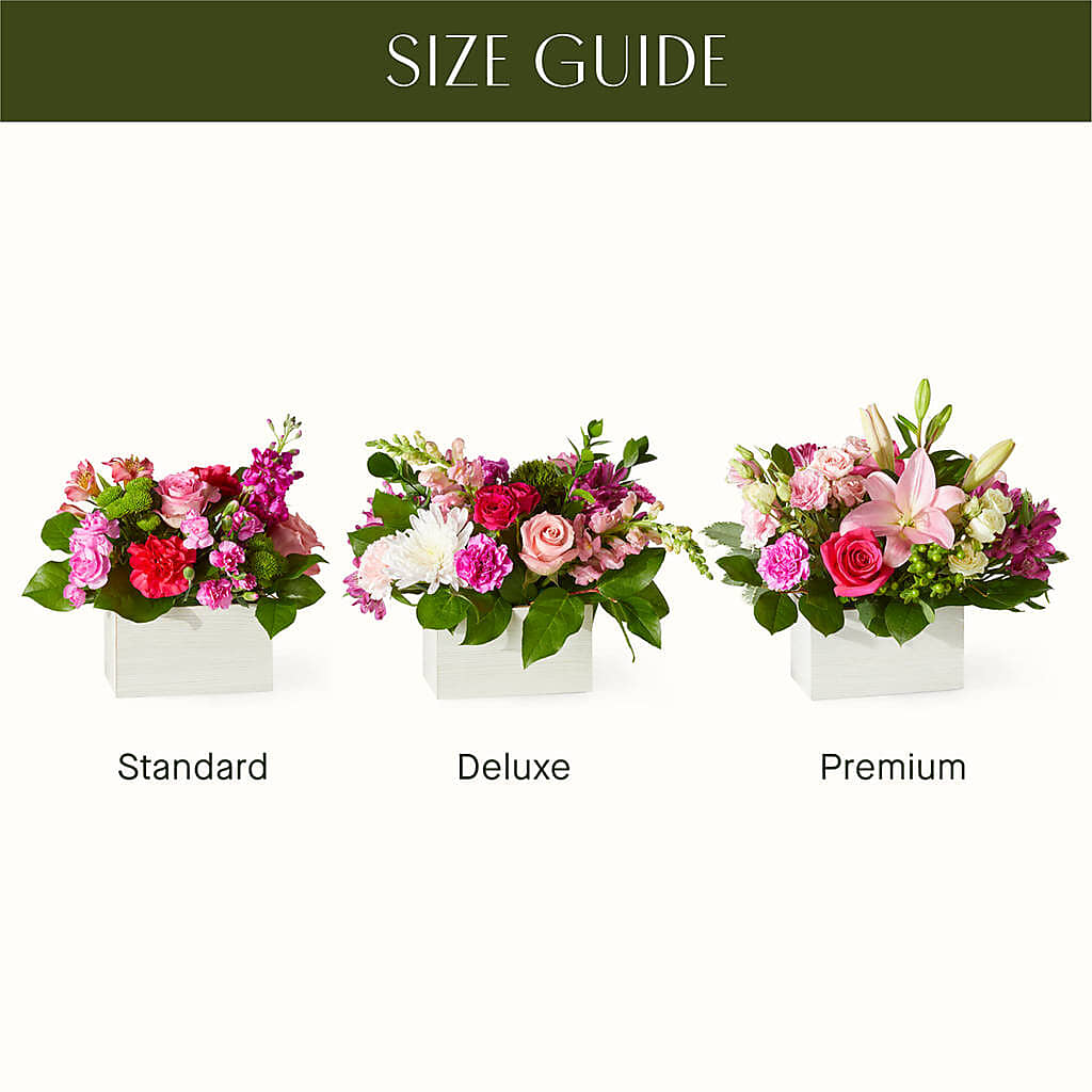 Sweetberry Box – A Florist Original –  Batavia Stage Coach Florist, Batavia NY