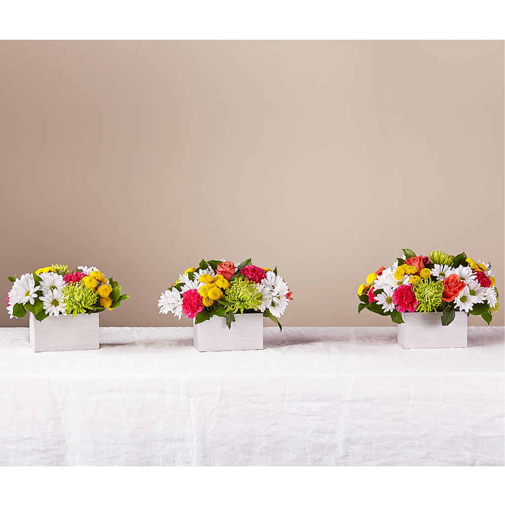Sorbet Bouquet –  Batavia Stage Coach Florist, Batavia NY