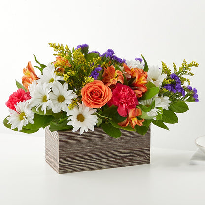 Oopsie Daisy Box Bouquet –  Batavia Stage Coach Florist, Batavia NY