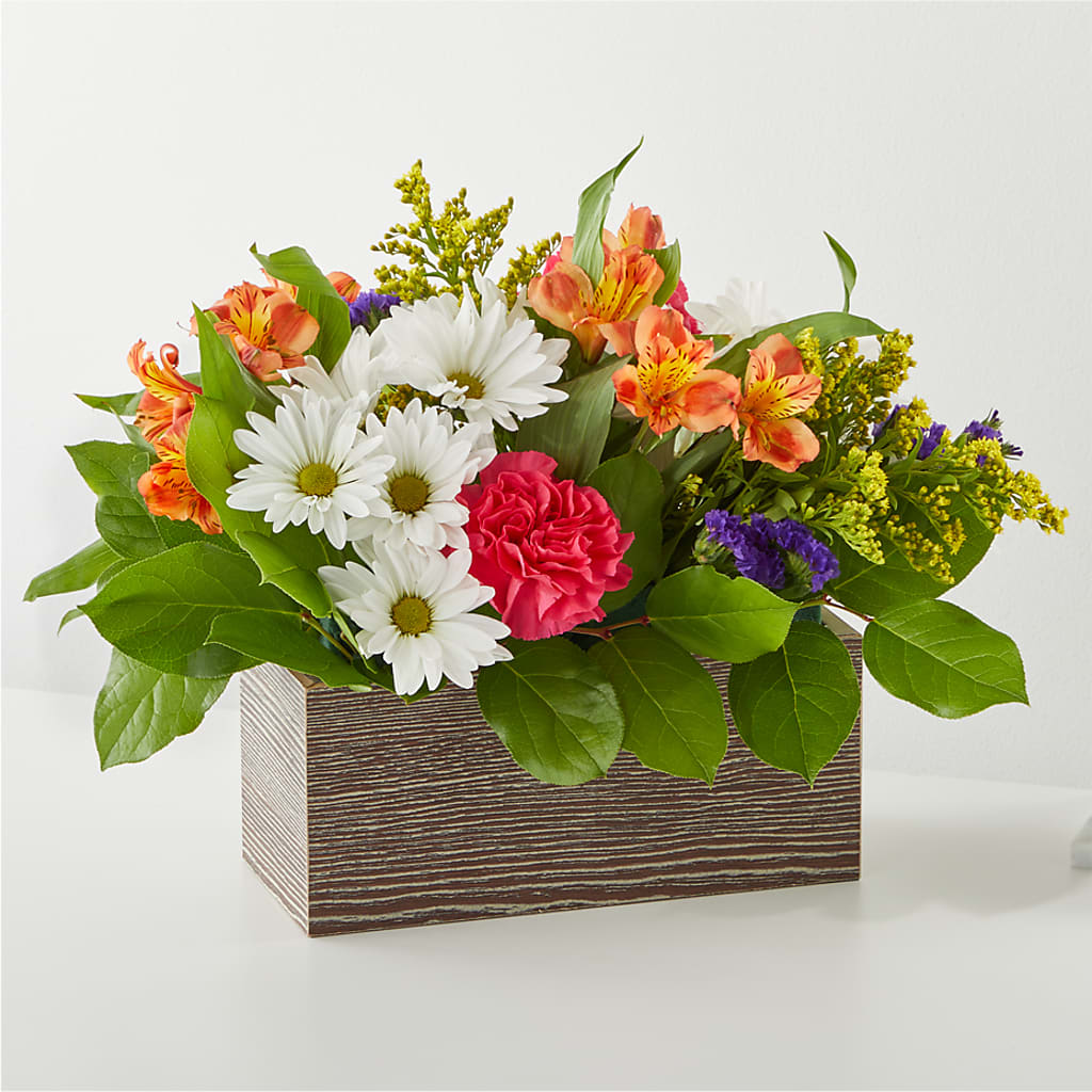 Oopsie Daisy Box Bouquet –  Batavia Stage Coach Florist, Batavia NY