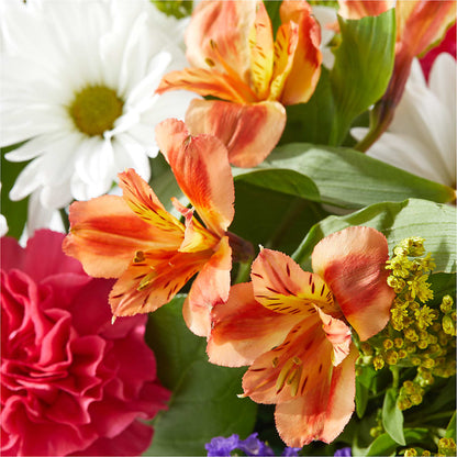Oopsie Daisy Box Bouquet –  Batavia Stage Coach Florist, Batavia NY
