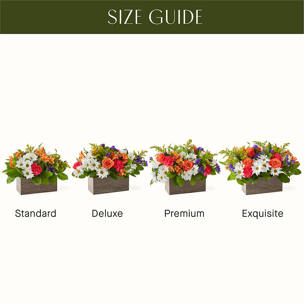 Oopsie Daisy Box Bouquet –  Batavia Stage Coach Florist, Batavia NY