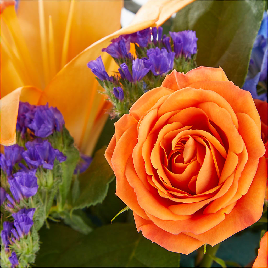 Radiant Citrus Box Bouquet –  Batavia Stage Coach Florist, Batavia NY
