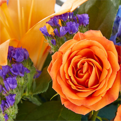 Radiant Citrus Box Bouquet –  Batavia Stage Coach Florist, Batavia NY