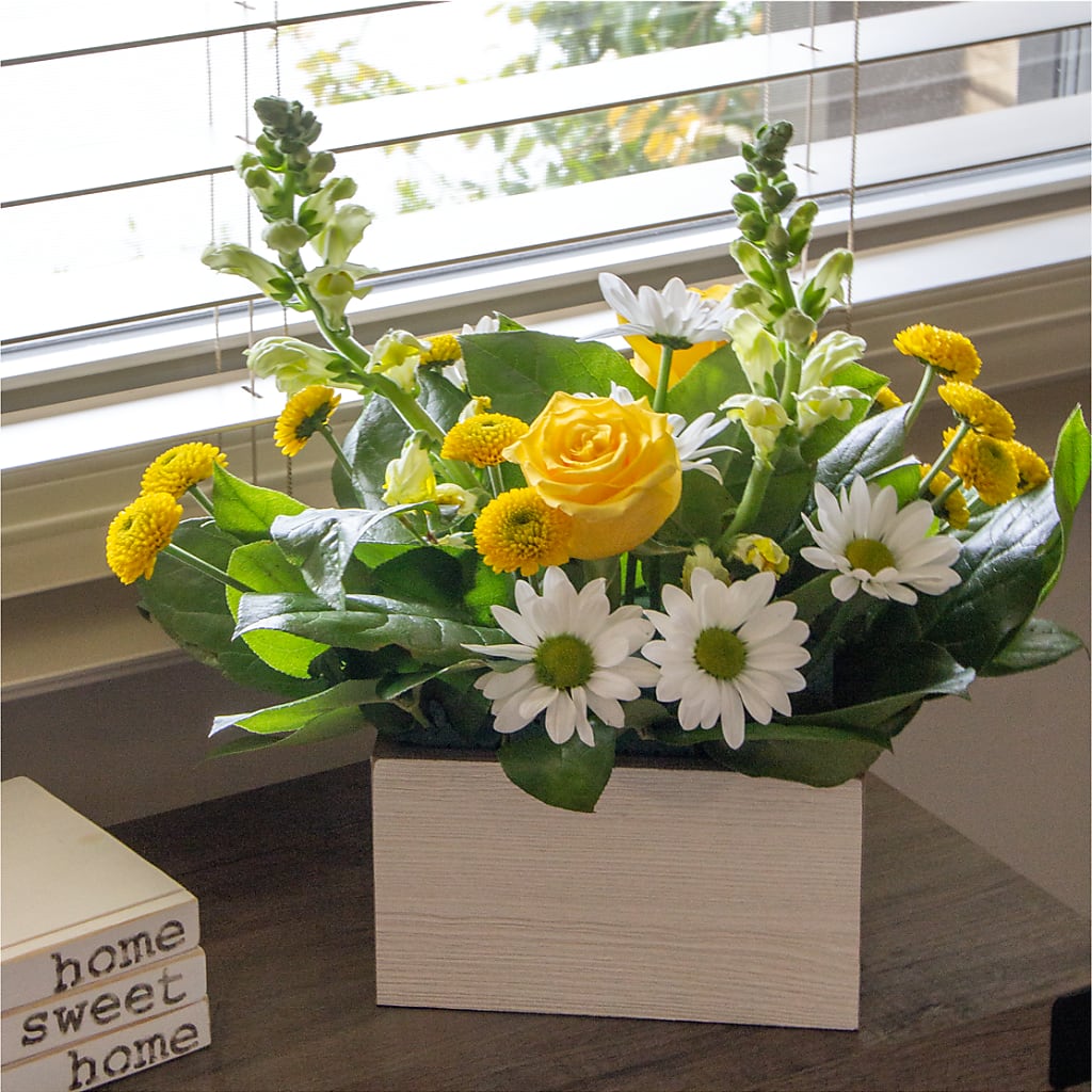 Sun Salutation Box Bouquet –  Batavia Stage Coach Florist, Batavia NY