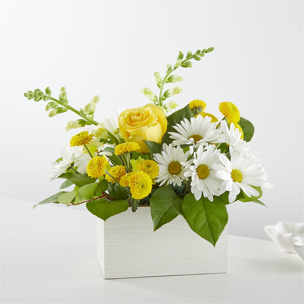Sun Salutation Box Bouquet –  Batavia Stage Coach Florist, Batavia NY
