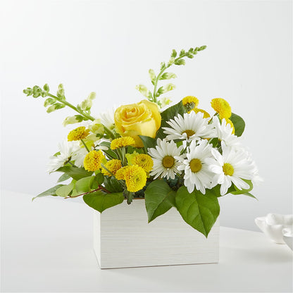 Sun Salutation Box Bouquet –  Batavia Stage Coach Florist, Batavia NY