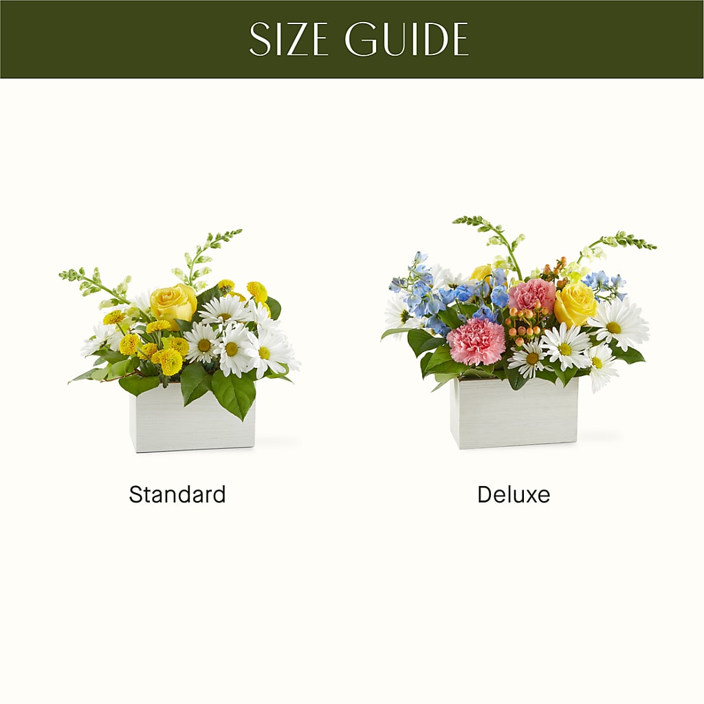 Sun Salutation Box Bouquet –  Batavia Stage Coach Florist, Batavia NY