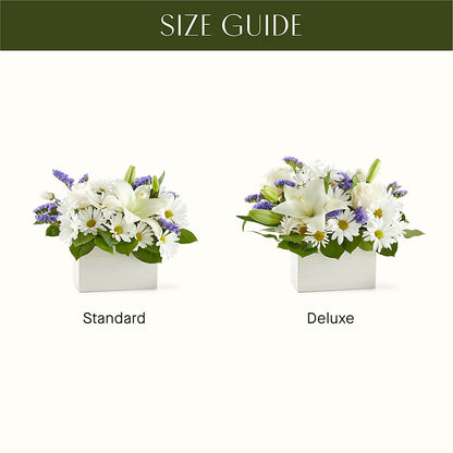 Beyond Blue Box Bouquet –  Batavia Stage Coach Florist, Batavia NY