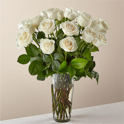 Long Stem White Rose Bouquet –  Batavia Stage Coach Florist, Batavia NY