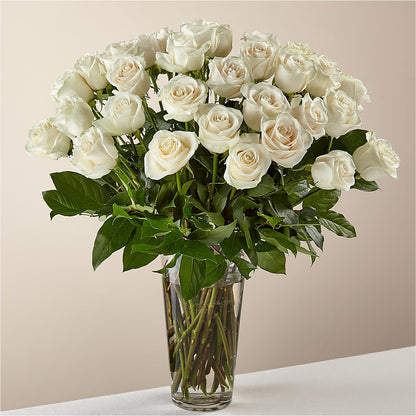 Long Stem White Rose Bouquet –  Batavia Stage Coach Florist, Batavia NY