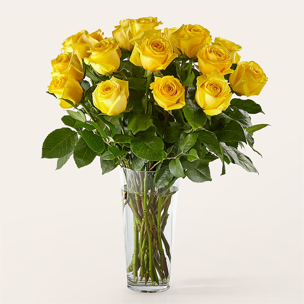 Long Stem Yellow Rose Bouquet –  Batavia Stage Coach Florist, Batavia NY