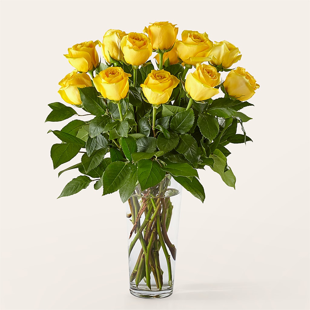 Long Stem Yellow Rose Bouquet –  Batavia Stage Coach Florist, Batavia NY