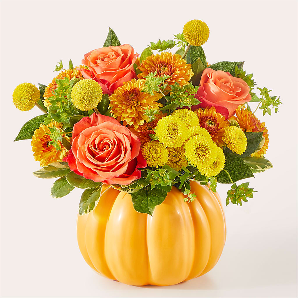 Gourdgeous Pumpkin –  Batavia Stage Coach Florist, Batavia NY