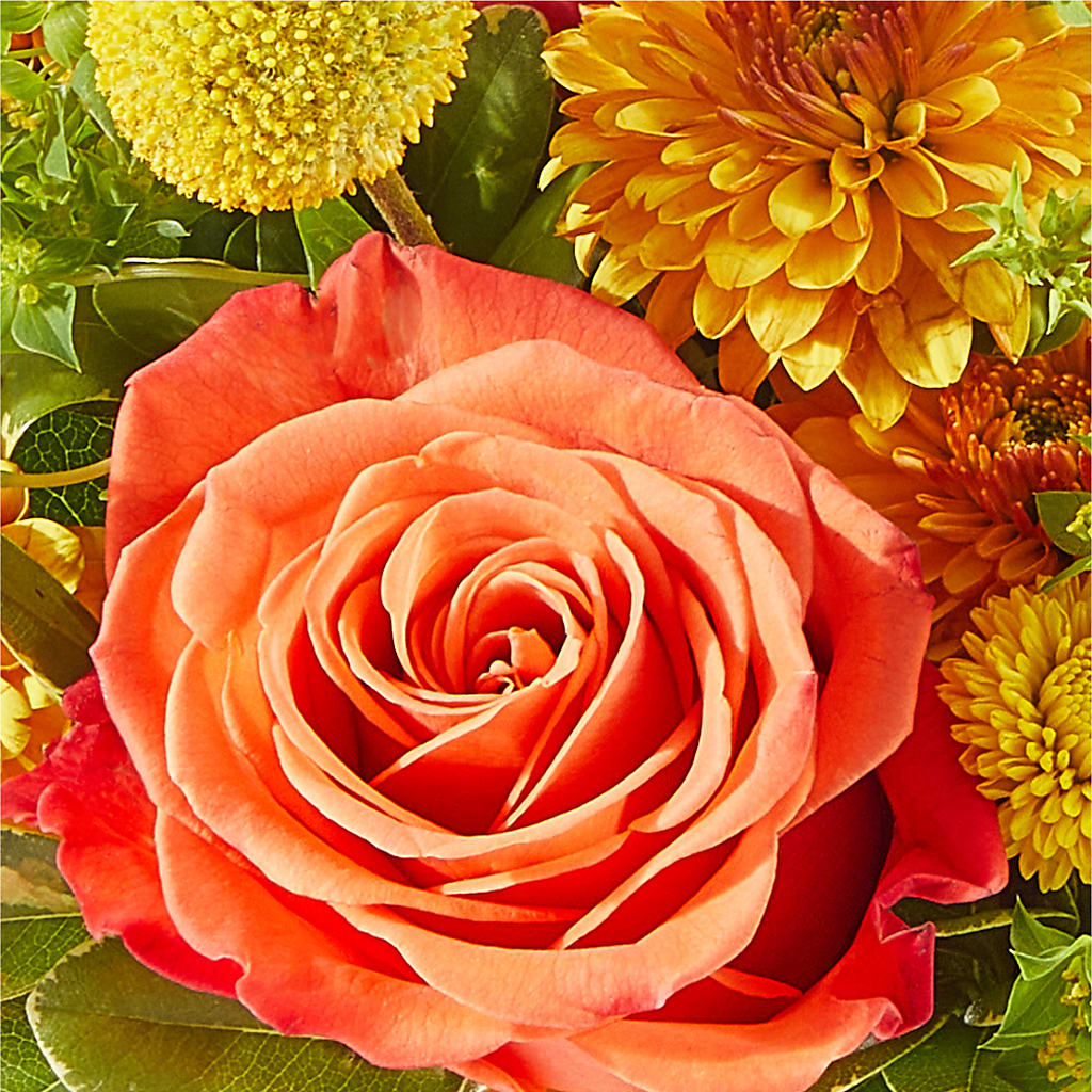 Gourdgeous Pumpkin –  Batavia Stage Coach Florist, Batavia NY