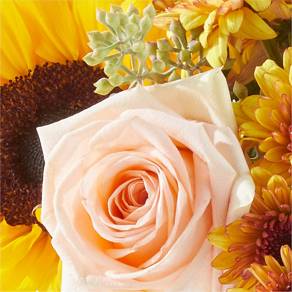 Pumpkin to Talk About Bouquet –  Batavia Stage Coach Florist, Batavia NY