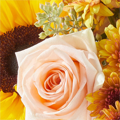Pumpkin to Talk About Bouquet –  Batavia Stage Coach Florist, Batavia NY