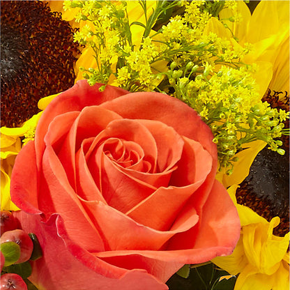 Pick of the Patch Pumpkin Bouquet –  Batavia Stage Coach Florist, Batavia NY