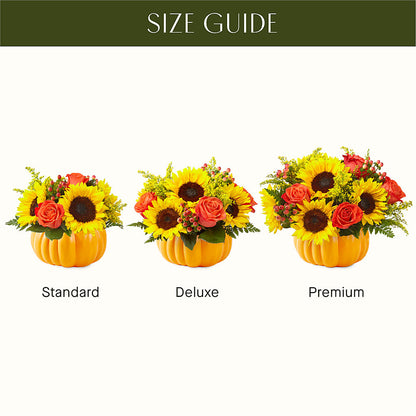 Pick of the Patch Pumpkin Bouquet –  Batavia Stage Coach Florist, Batavia NY