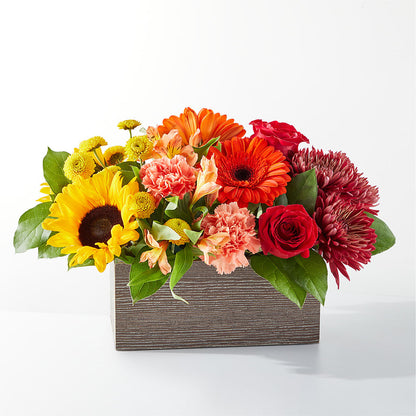 Autumn Orchard Bouquet –  Batavia Stage Coach Florist, Batavia NY
