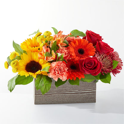 Autumn Orchard Bouquet –  Batavia Stage Coach Florist, Batavia NY