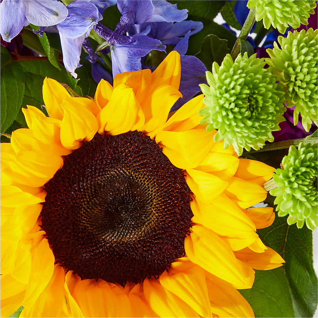 Catching Rays Bouquet –  Batavia Stage Coach Florist, Batavia NY