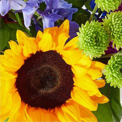 Catching Rays Bouquet –  Batavia Stage Coach Florist, Batavia NY
