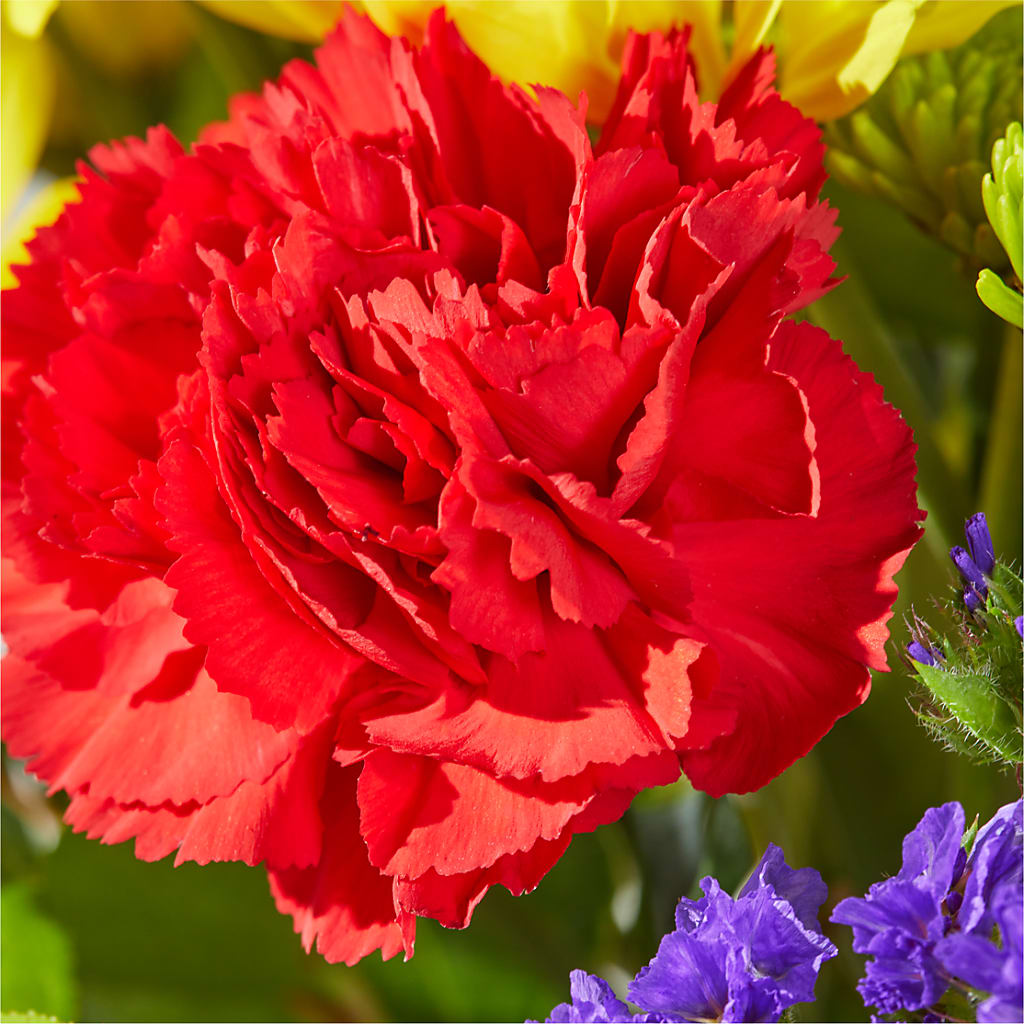 Brighter Days Bouquet –  Batavia Stage Coach Florist, Batavia NY