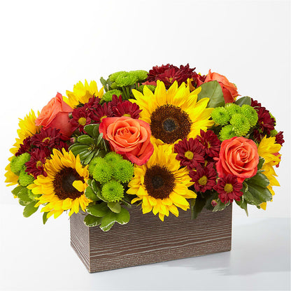 Happy Harvest Garden –  Batavia Stage Coach Florist, Batavia NY