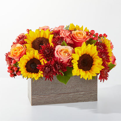 Fresh Cider Bouquet –  Batavia Stage Coach Florist, Batavia NY