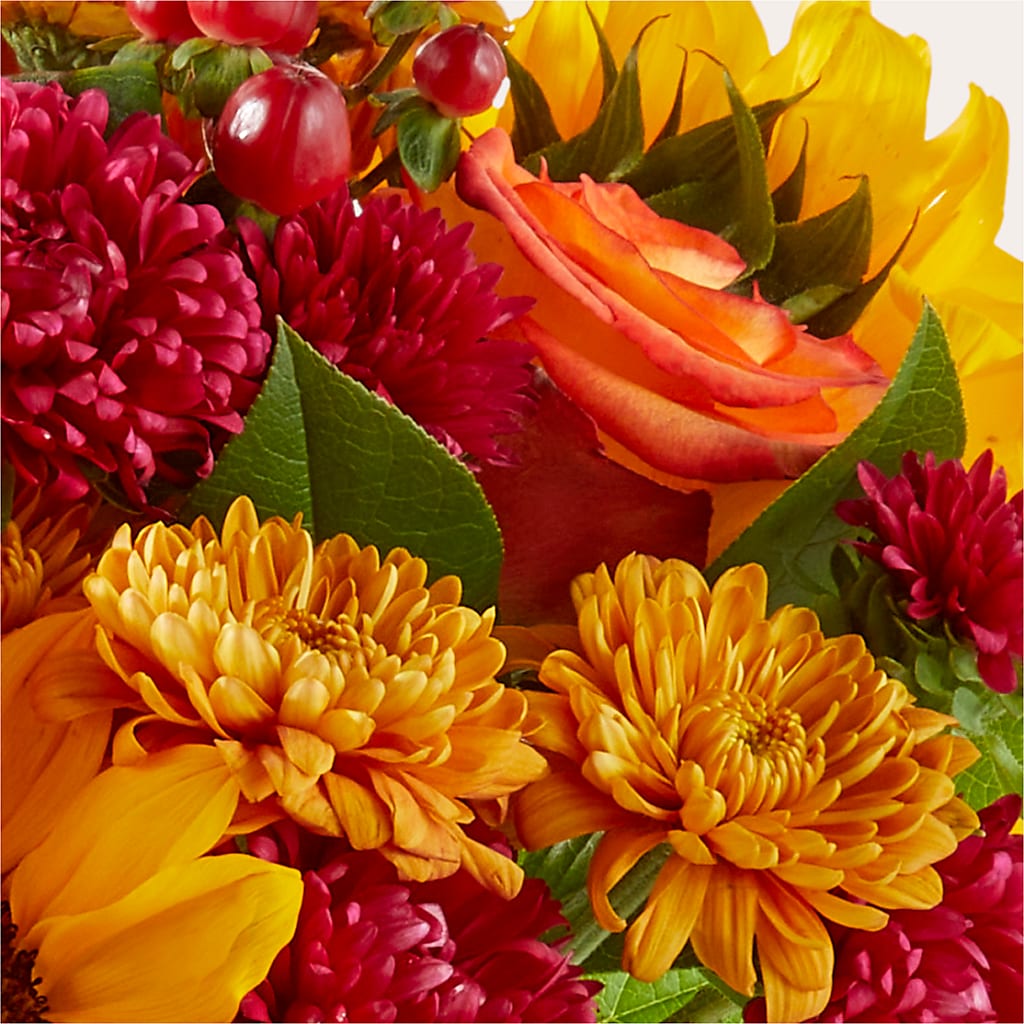 Sweater Season - A Florist Original –  Batavia Stage Coach Florist, Batavia NY